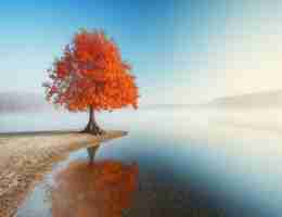 kubernetes核‌心‍对‌象﻿